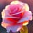 Ahmad GUL