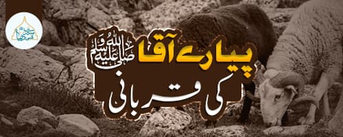 پیارے آقا ﷺ  کی قربانی