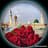 Belal Khan