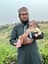 مفتی محمد مدنی رضا